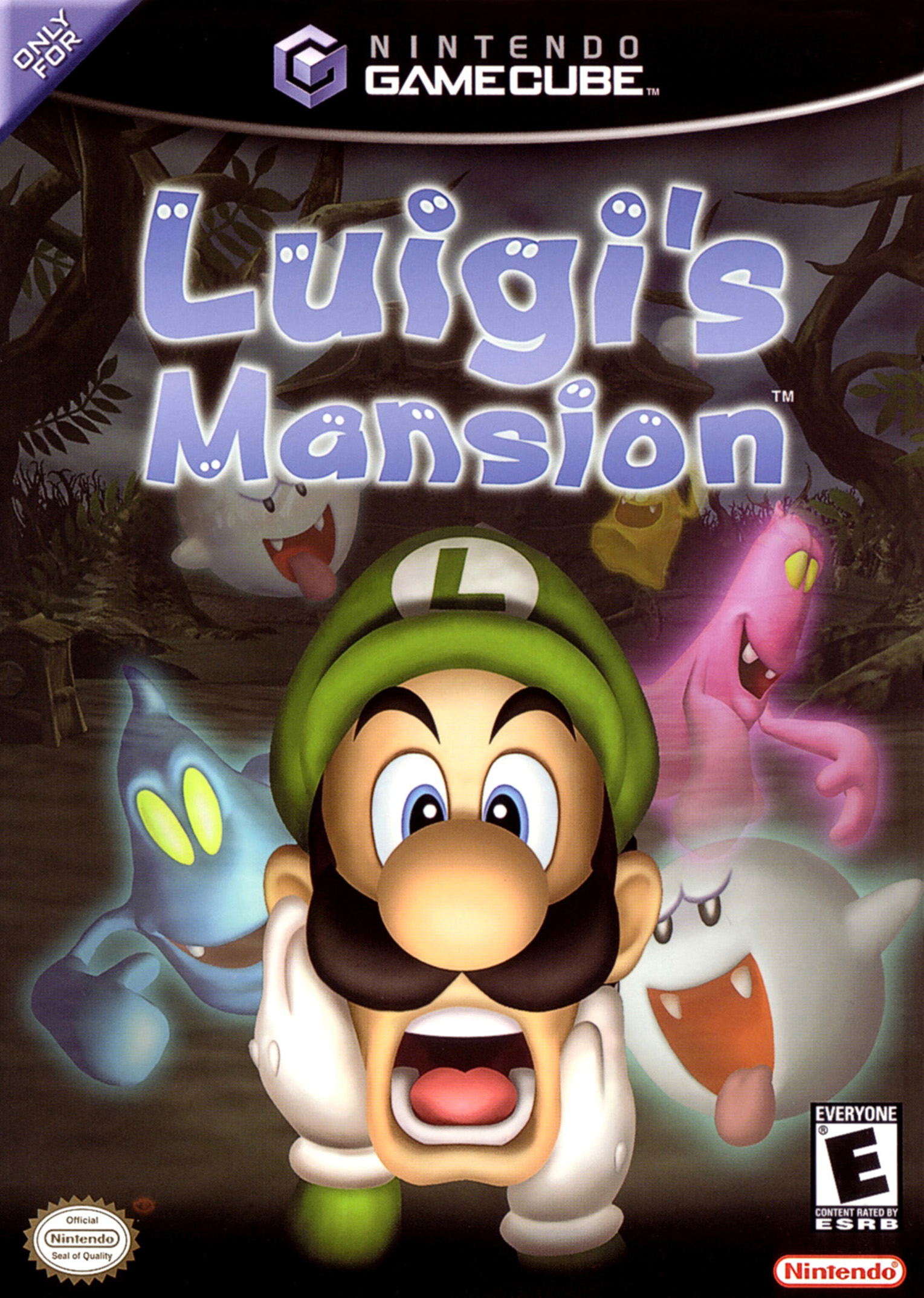 Luigi's Mansion cartridge